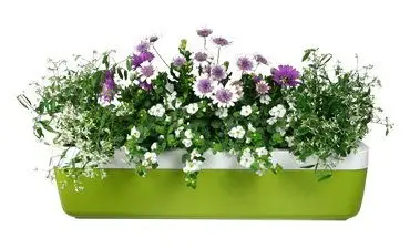 Ящики для квітів myBOX