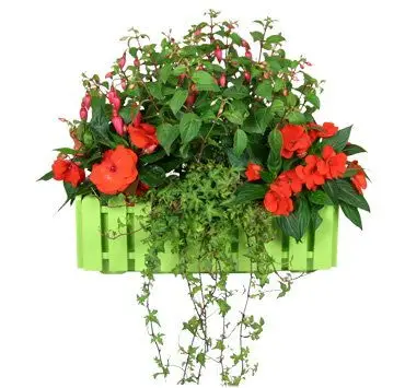 Ящики для квітів Favourite colours