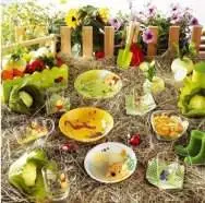 WINNIE GARDEN