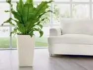 Вазони Cubico Cottage