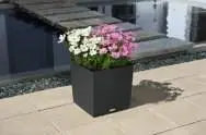 Вазони Cube Cottage