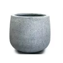 art - 12061345