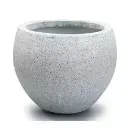 art - 12061349