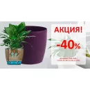 ADQ2751 - 12069846