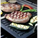 23733G-BBQ-E - 12077371