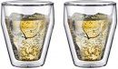 10481-10 Набор стаканов с двойными стенками 0,25 л, 2 шт Bodum TITLIS