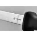 3049705123 - 12091102