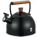 Чайник RINGEL IQ Вe Natural 2.5 л IQ-1001