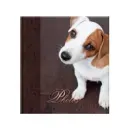 10sheet S22x32 Patron - 12133830