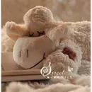 C-46200 Lamb - 12134346