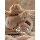 20sheet S22x32 Lamb - 12134347