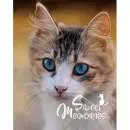 PP-46200 Pussycat6 - 12134348