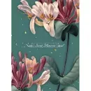 20sheet S22x32 Astreya - 12134353
