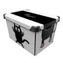 STYLE BOX с/к MEOW BLACK 20л. - 12135815
