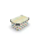STYLE BOX с/к COLORED ZIGZAG 5л. - 12135820