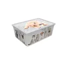 LIGHT BOX с/к CATS AND DOGS 10л. - 12135831