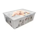 LIGHT BOX с/к CATS AND DOGS 25л. - 12135839