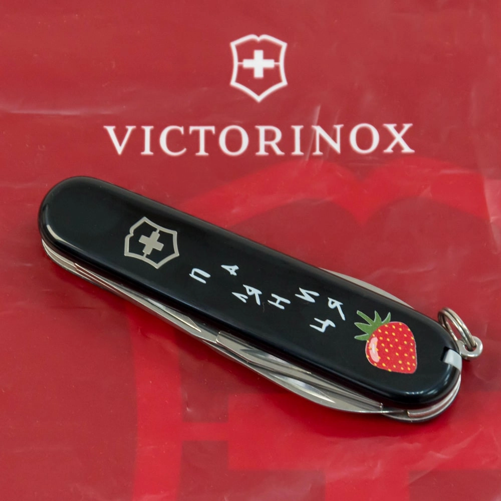 Vx13603.3_T1300u - 12139099