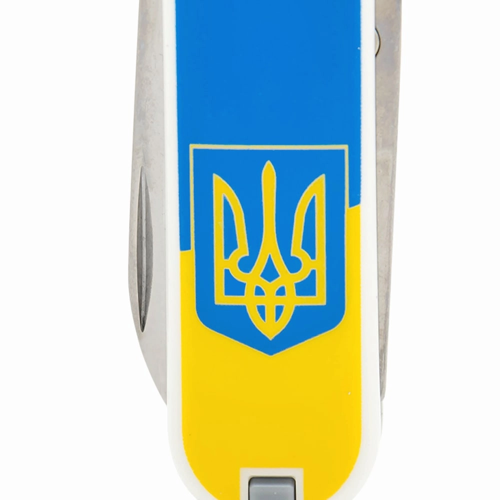 Vx06223.7_T0030r - 12139146