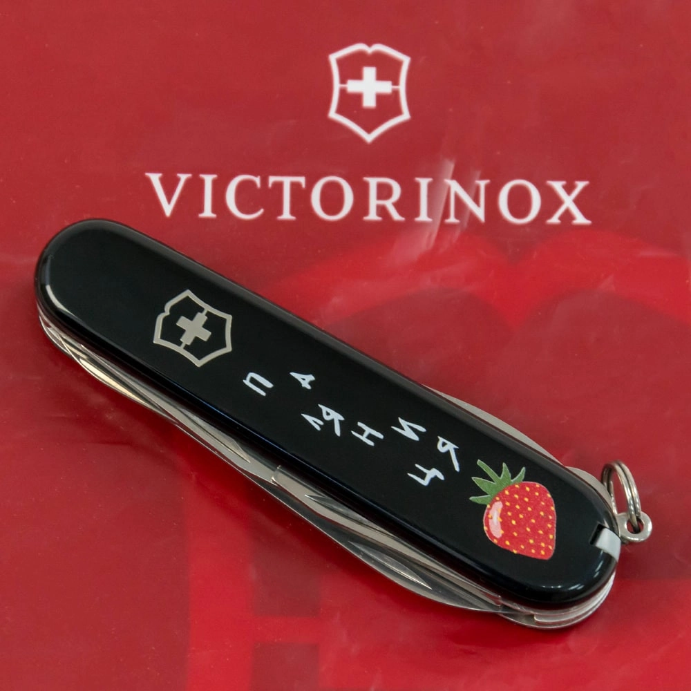 Vx13703.3_T1300u - 12139157