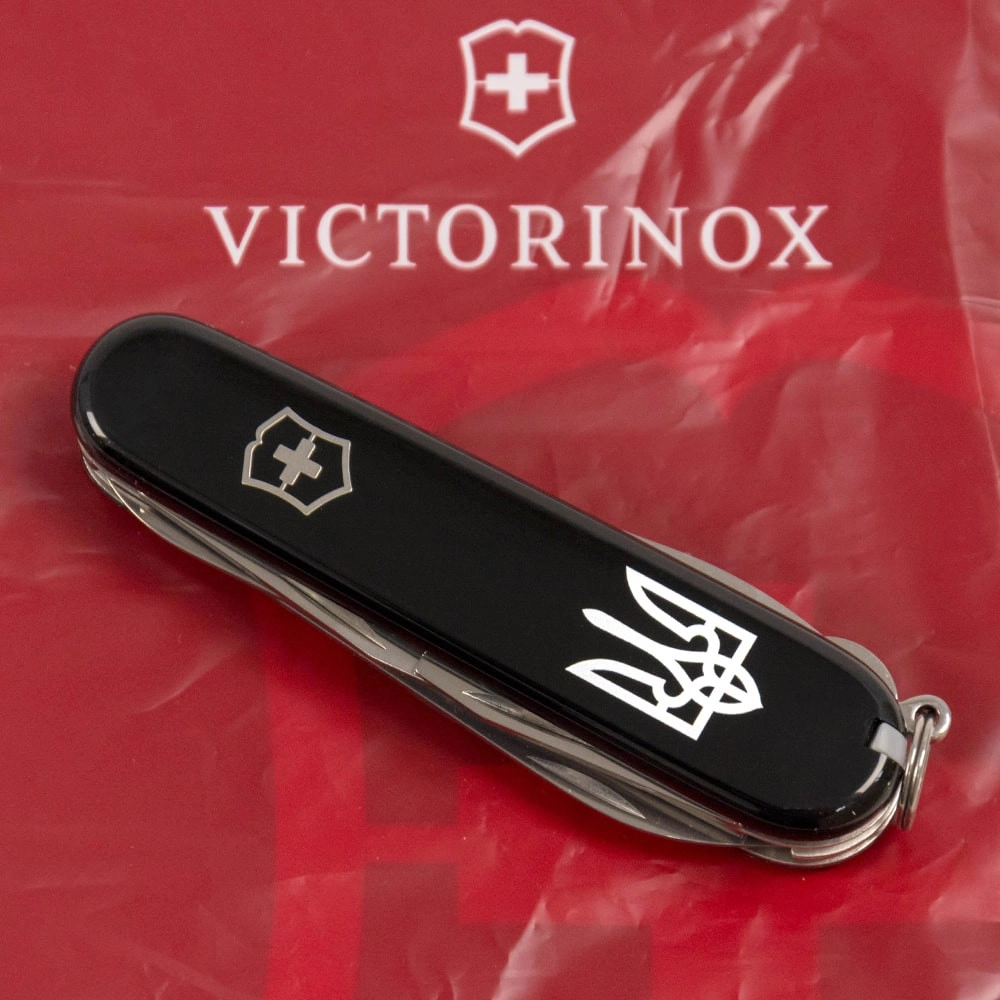 Vx13703.3_T0010u - 12139159