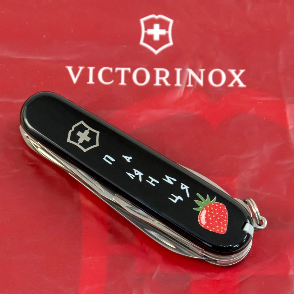 Vx13713.3_T1300u - 12139174
