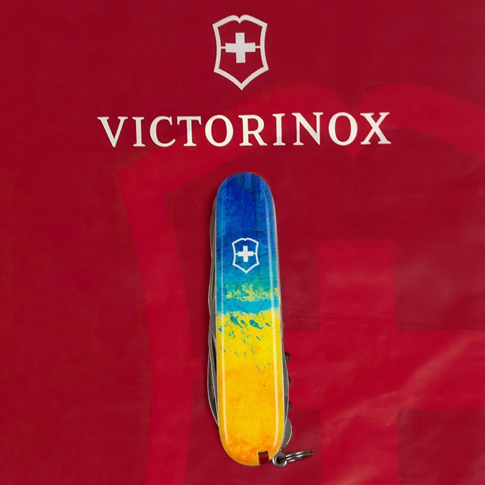 Vx13713.7_T3100p - 12139766