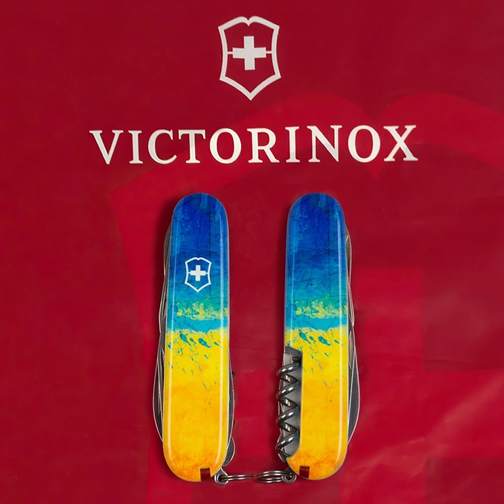 Vx13703.7_T3100p - 12139788
