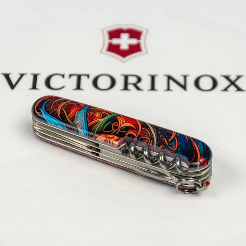 Vx13703_Z3260p - 12139936
