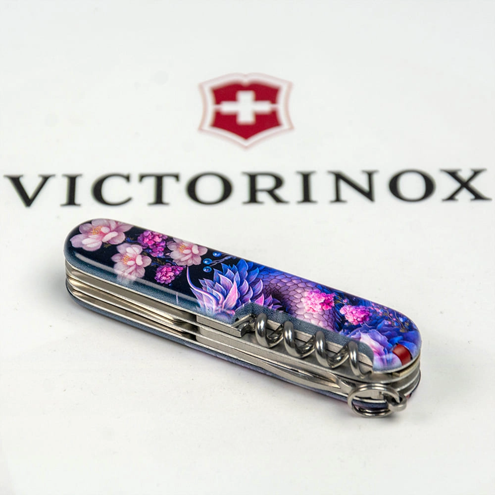 Vx13703.3_Z3280p - 12139938