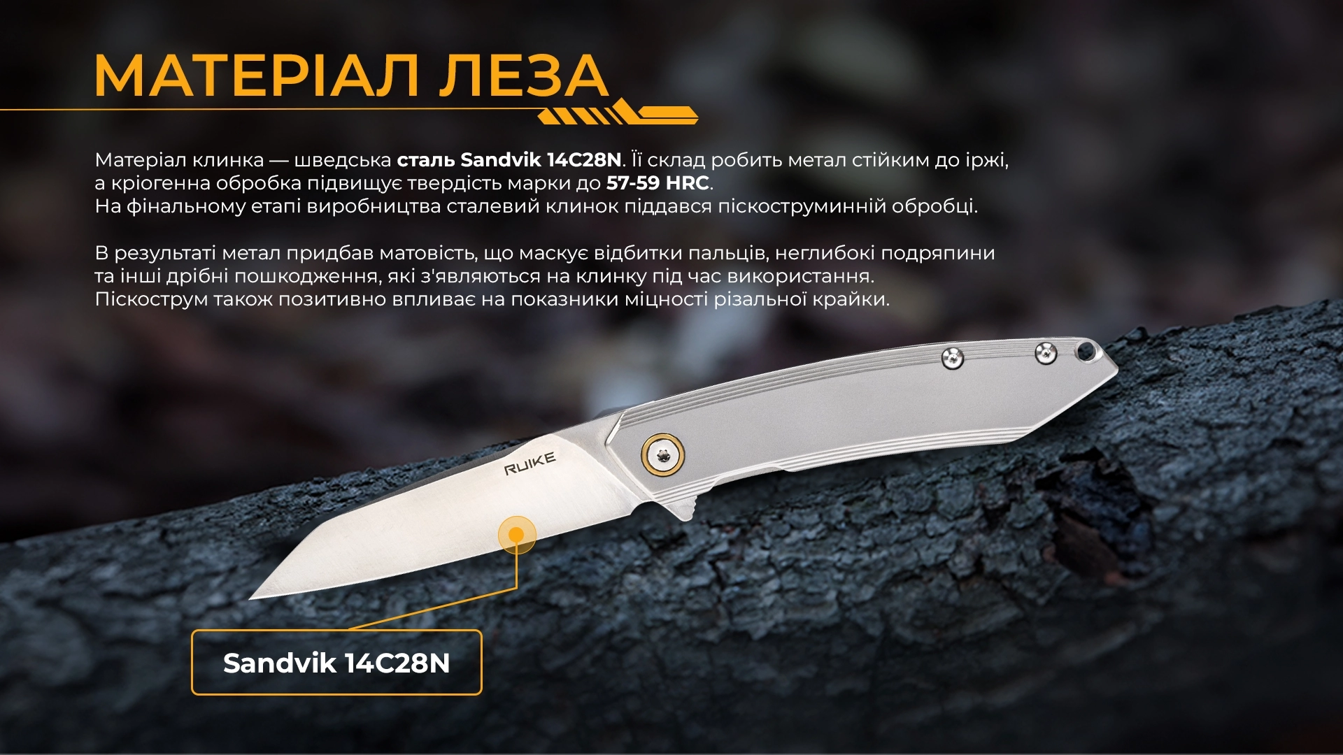 P831S-SA - 12141697
