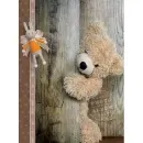 20sheet S22x32 Bear - 12143518