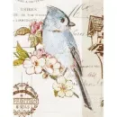 PP-46200 Bird - 12143532