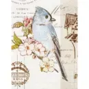 20sheet S22x32 Bird - 12143533