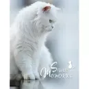 PP-46200 Pussycat7 - 12143555