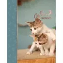 PP-46200 Pussycat8 - 12143556