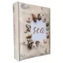 20sheet S29x32 SEA - 12147226