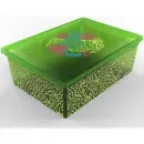 LIGHT BOX с/к FLOURESENT GREEN 2 - 12148016