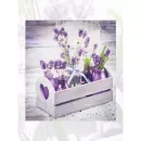 20sheet S29x32 LAVENDER - 12148944