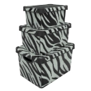 STYLE BOX з/кр. ZEBRA 5л. - 12148984