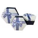 40321-03 22*19*10см WHITE/BLUE ш - 12154583
