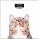 SCB-965CAT - 12168517