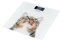 SCB-965CAT - 12168517