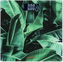 SCB-965LEAVES - 12168521