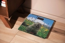 SCB-965MARMOT - 12168523