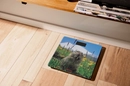 SCB-965MARMOT - 12168523