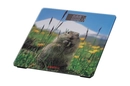 SCB-965MARMOT - 12168523