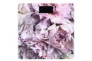 SCB-965PEONIES - 12168524