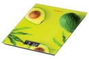 SCK-893AVOCADO - 12168528