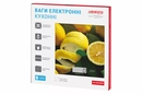 SCK-893LEMON - 12168530